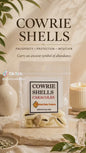 Cowrie Shells